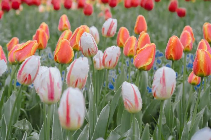 不快乐只因缺朋友?这可能是人生最大的误解