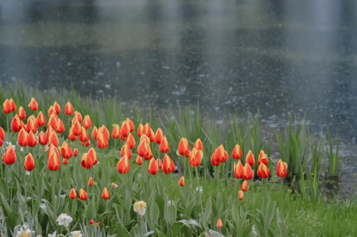 最煎熬的人生,从不愿放下开始;但很多人却忽视了,还有更好的选择