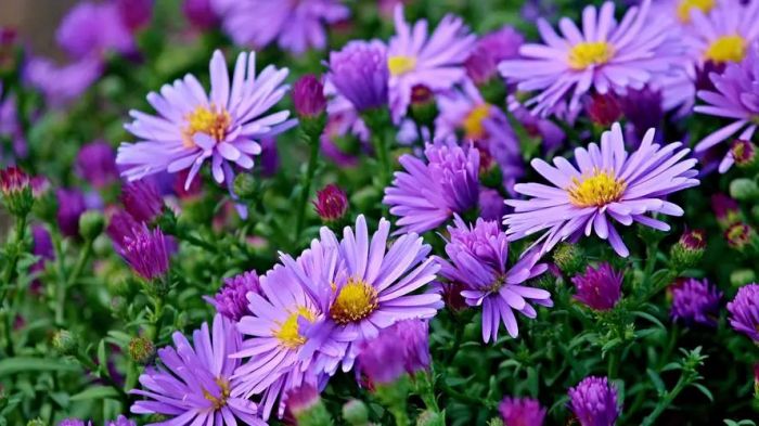 摆脱童年创伤阴影：值得尝试的四种治愈路径