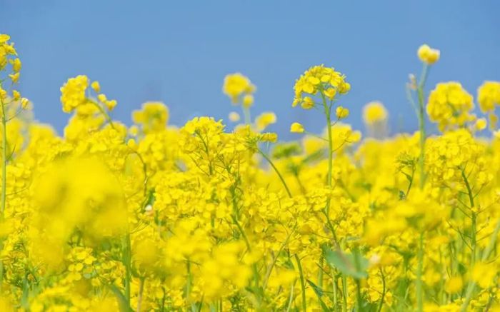 没有工作的社会边缘人，内耗阻碍了自救。但我们可以这么做