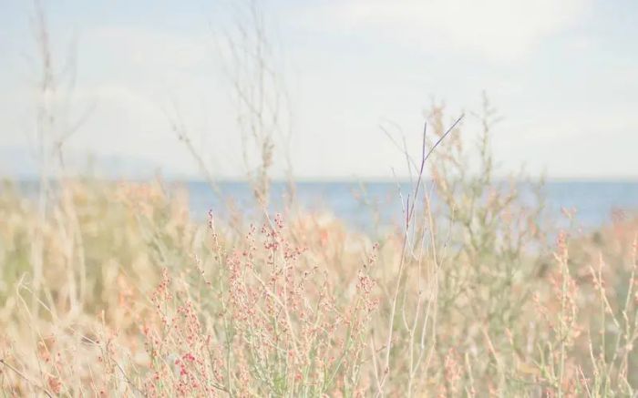 第一次约会全攻略：男生做好这几点，印象分直接拉满