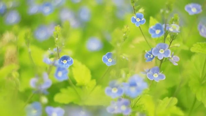 不想分手怎么挽回男朋友?真正有用的3个关键步骤