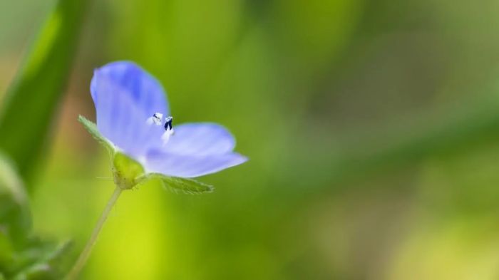 约会没话题聊？这5个聊天方法让气氛自然升温