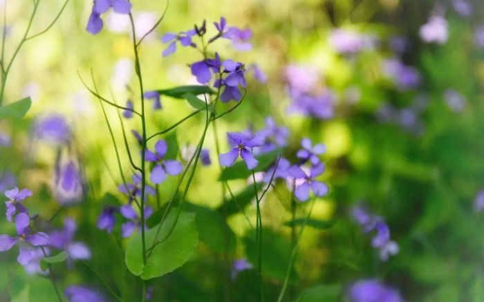女朋友铁了心要分手怎么办？先停下，别追了