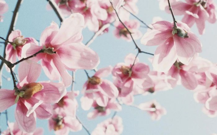 分手后想挽回女友?别急着行动,先做对这件事