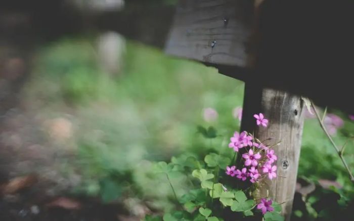 女朋友生气要分手怎么办?别急着挽回,先看懂这一点