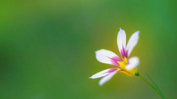 死心的女人怎么挽回?一个男人的醒悟