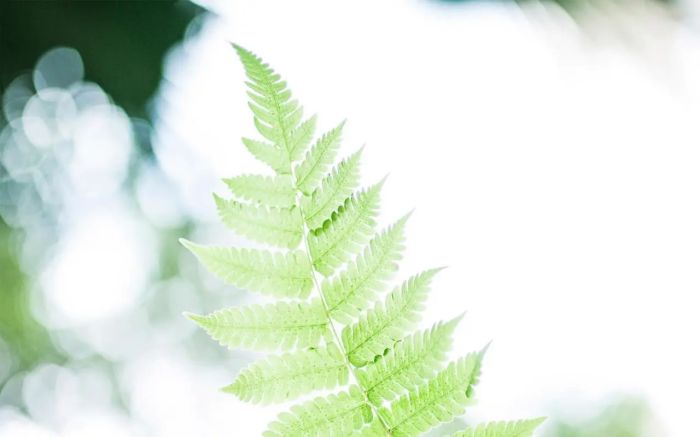 当他说&ldquo;不喜欢了&rdquo;，挽回的路该怎么走