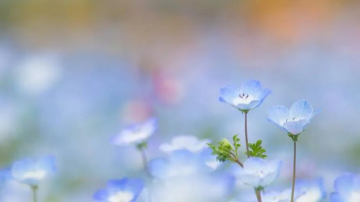 女朋友异地恋要分手怎么办？不是距离的问题，是够不着了