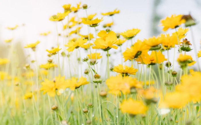 怎样爱女朋友?真正爱一个人,是戒掉这件事