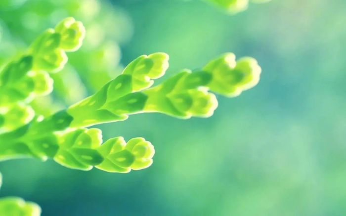 对女朋友，如何让爱越来越深，而不是越来越淡