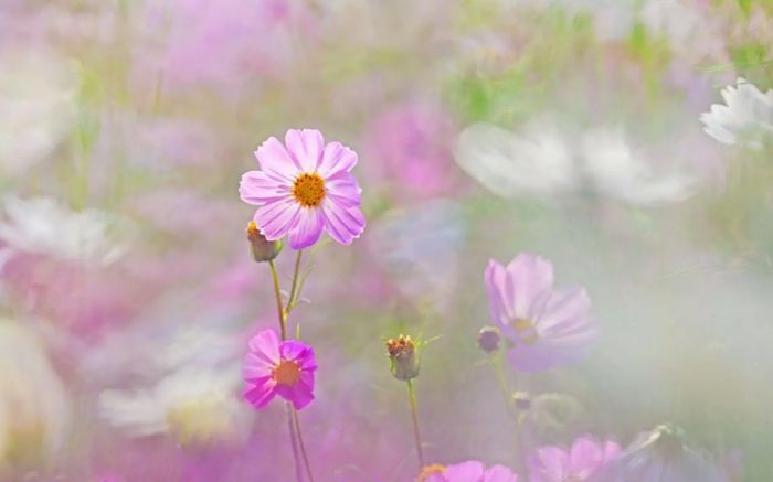 和女生分手后想复合？别急着&ldquo;挽回&rdquo;，先做好这件事