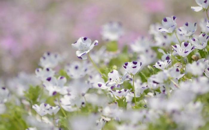 真正的高级撩，是&ldquo;让他心里一软&rdquo;-撩男朋友的4个心法