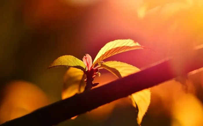 真正的&ldquo;撩&rdquo;是让他失控又安心-撩男朋友脸红的3个心法