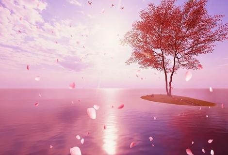 告别内耗：女性情绪自愈与自我接纳课