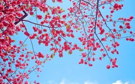 个人内心疲惫度测试