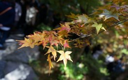 自我怀疑焦虑测试