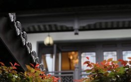 网友依赖程度测试