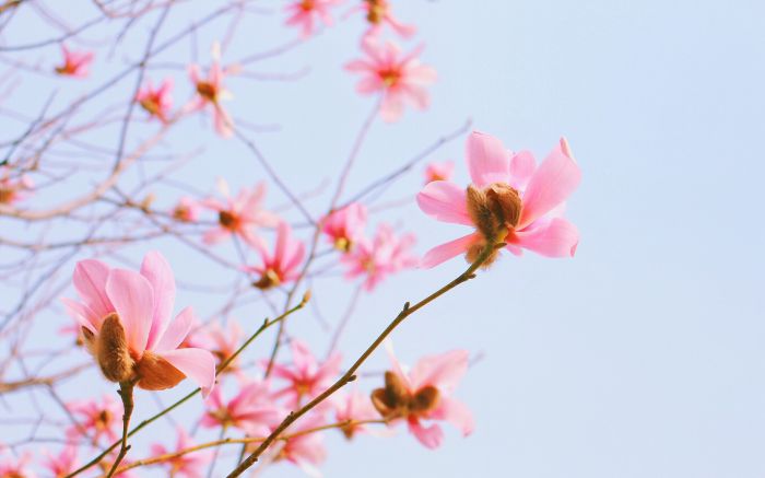 把家庭照顾得很好的女人，很多都不会快乐，自己却不知道为什么！