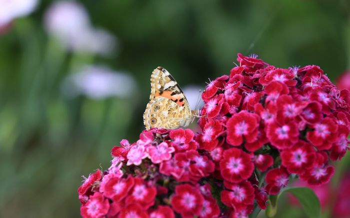 别让&ldquo;忙&rdquo;成为爱的盲区：让女朋友的温柔在忽视中悄然离去