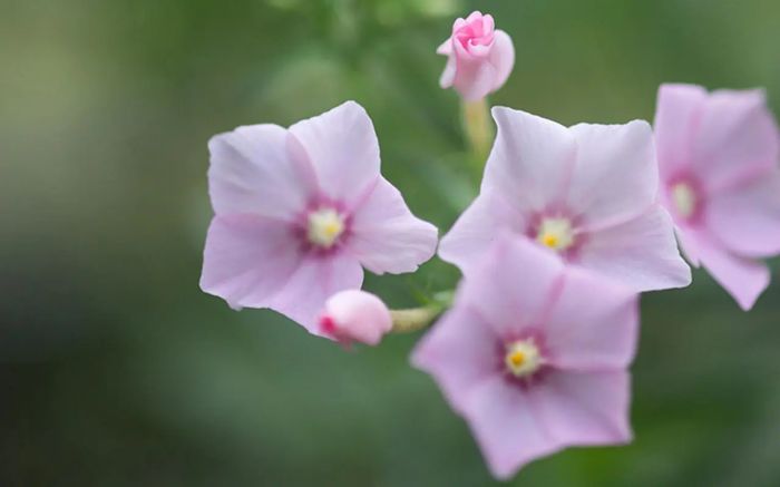 为什么有的陪伴是甜蜜的爱，有的却仅仅是&ldquo;备胎&rdquo;的伴随呢？