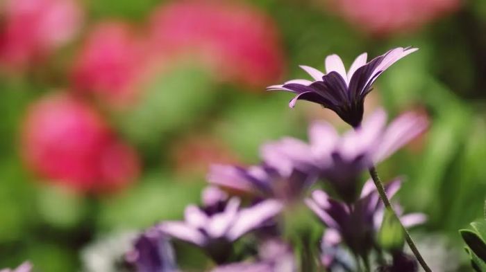 麻木重复每天的工作，感觉活着没意义？或许可以尝试这些改变