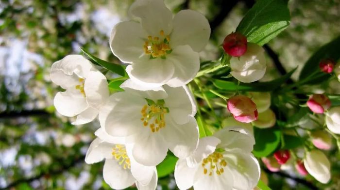 让我们放不下的,从来不是不甘心