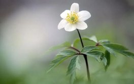 吵架频率程度测试