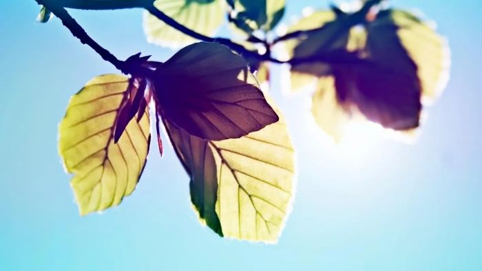 无论是否工作,人生都陷入了无尽的焦虑。那是我们失去了......