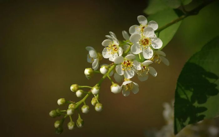 强烈的表达欲,和压抑情感的教育碰撞,换一种处理方式,我们便能自由