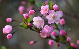 过度准备焦虑测试