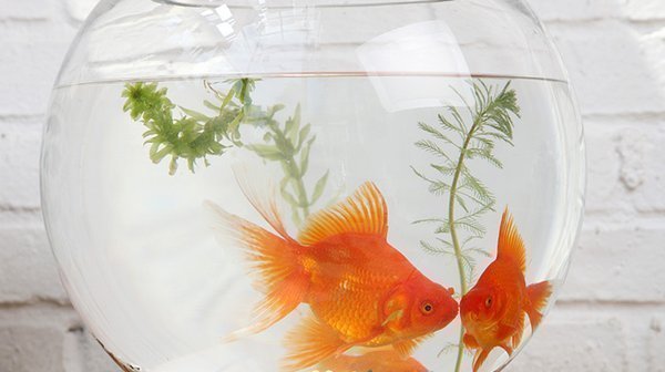 心理压力话题：减压方法与经验分享