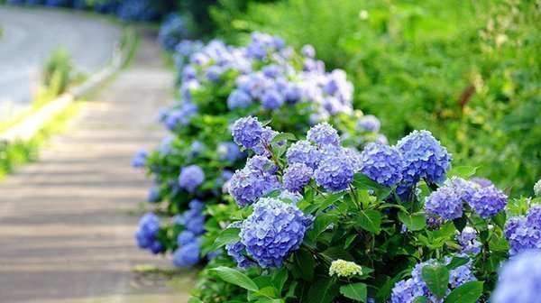 自我怀疑话题：找回自信的真实故事