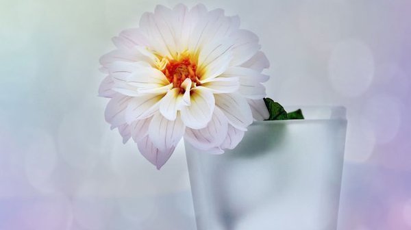 讨好型人格：学会说不的真实故事