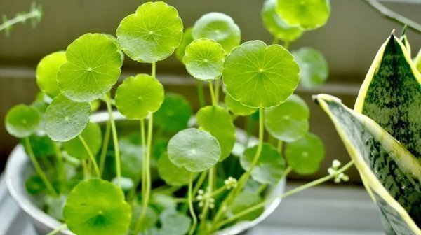 婚姻疲惫：如何沟通让爱重燃