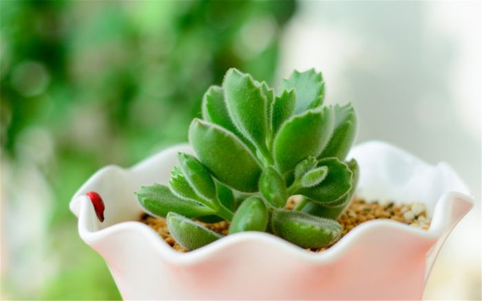 停止精神内耗：一个被生活毒打过的中年人的3个心法