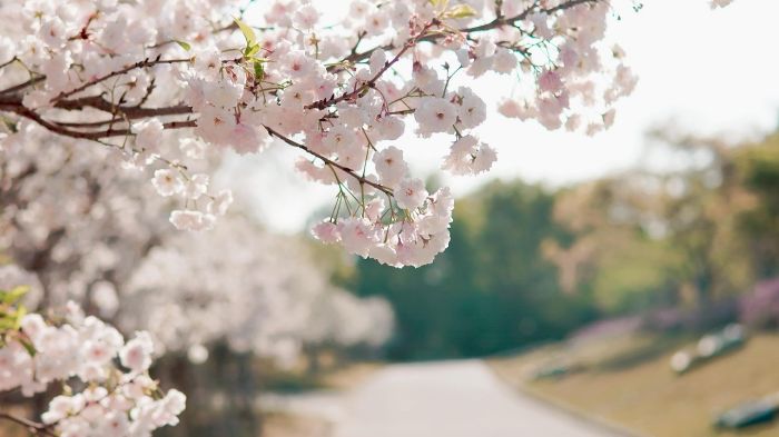 总怀疑自己不行？自我怀疑不是病，但要重视