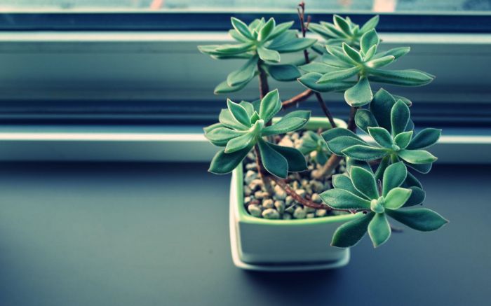 总觉得自己不够好?三个办法帮你走出自我否定