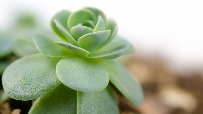 没什么异性朋友,是我不正常吗?