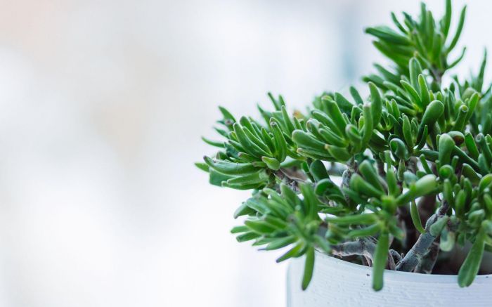 精神内耗是什么意思?三个特征和解决办法