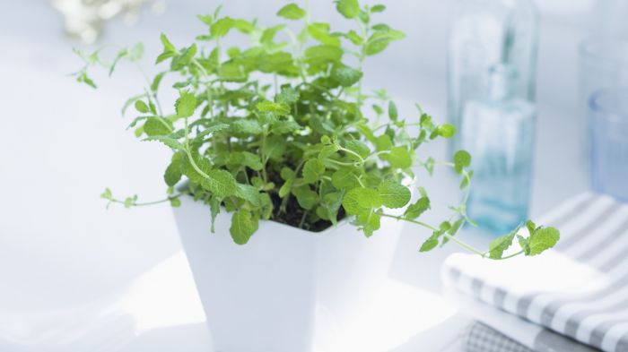 婚姻内耗的3个真相：停止精神内耗的8个真实建议