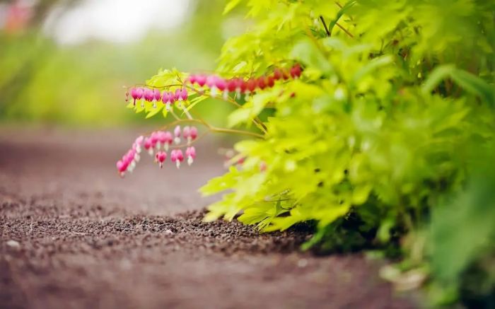 心理压力大怎么办？一个过来人的4个实在建议