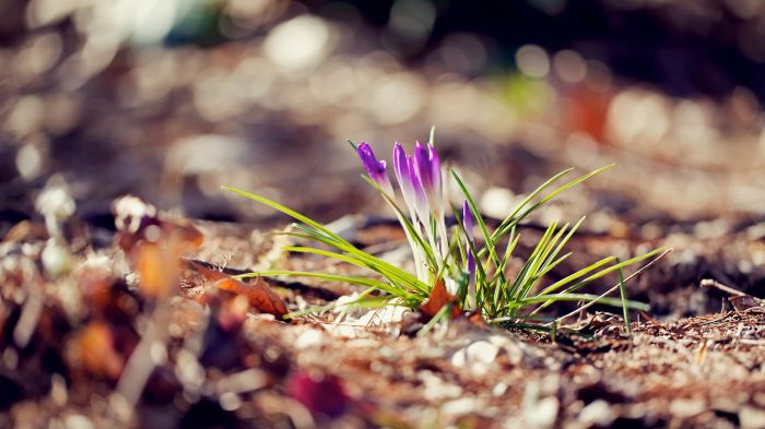 心理解压方法:压力过大时的4个自救技巧