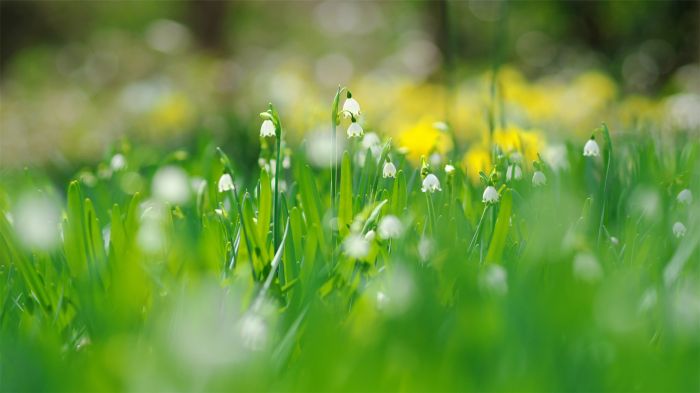 压力大时心理障碍怎么克服？4个方法亲测有效