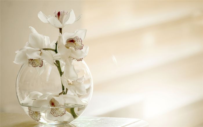 不爱说话社交差?别逼自己,这3个笨办法更管用