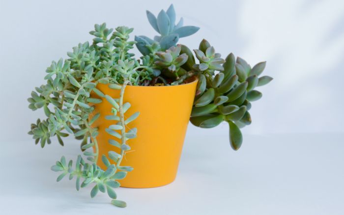 讨好型人格形成原因：不是你的错，是小时候埋下的&ldquo;生存法则&rdquo;