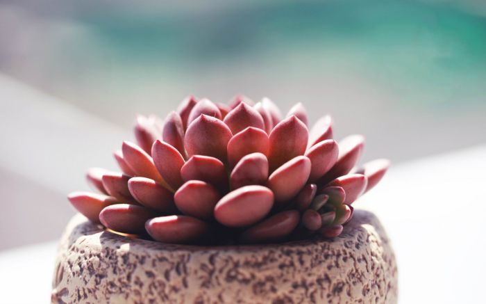 讨好型人格适合什么工作?对职业影响大吗?