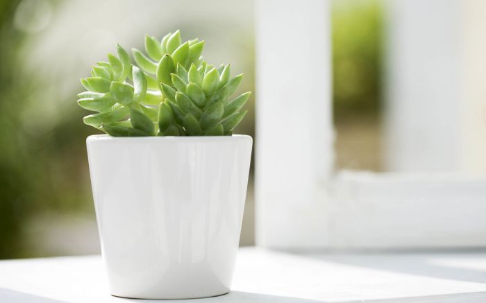 如何与控制欲很强的朋友交往？