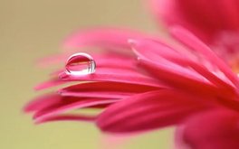 被期待焦虑测试：别人指望你你就压力大