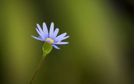 同事相处舒适度自测：你跟同事待着累不累